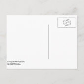 Faire-part Carte postale pour réserver la date (Dos)