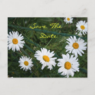 Faire-part Carte postale Rond de marguerites