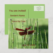 Faire-part Carte postale Rouge Dragonfly (Devant / Derrière)