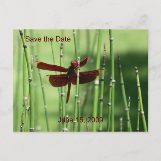 Faire-part Carte postale Rouge Dragonfly (Devant)