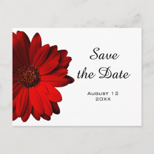 Faire-part Carte postale "Save the Date" au Gérbera rouge