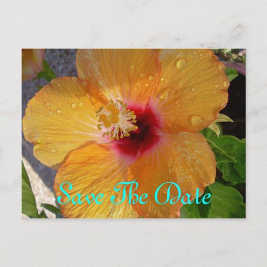 Faire-part Carte postale Save The Date Hibiscus (Devant)