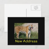 Faire-part Carte postale Tiger "Nouvelle adresse" (Devant / Derrière)