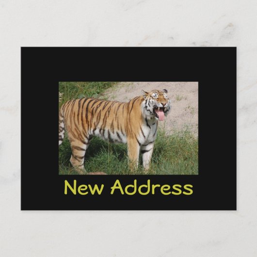 Faire-part Carte postale Tiger "Nouvelle adresse" (Devant)
