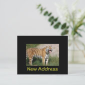 Faire-part Carte postale Tiger "Nouvelle adresse" (Debout devant)