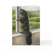 Cat Sympathy Card – Gentle Pet Loss Support