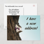 Faire-part Changement d'adresse avec carte postale (Devant / Derrière)