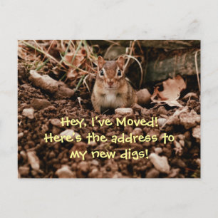 Faire-part Changement d'adresse Chipmunk Carte postale