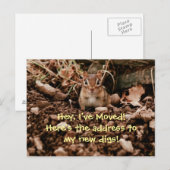 Faire-part Changement d'adresse Chipmunk Carte postale (Devant / Derrière)
