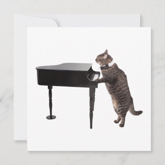 Faire-part Chat Jouer Piano (Devant)