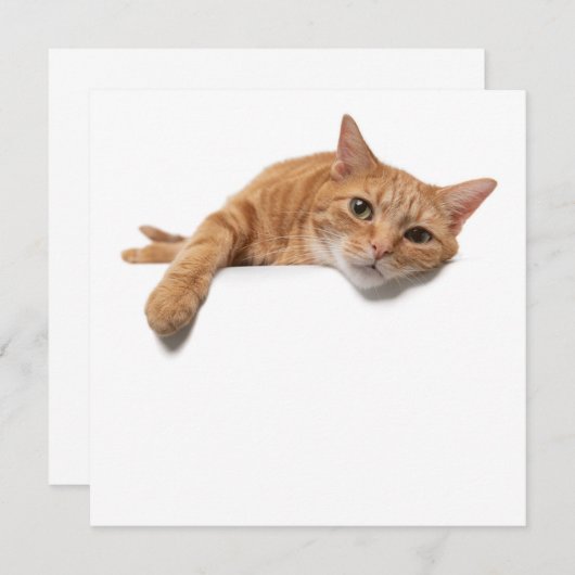 Faire-part Chat Orange Posé En Bas (Devant / Derrière)