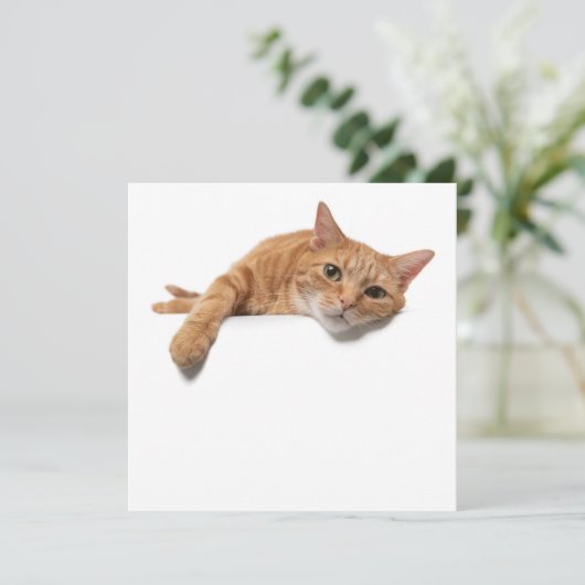 Faire-part Chat Orange Posé En Bas (Debout devant)