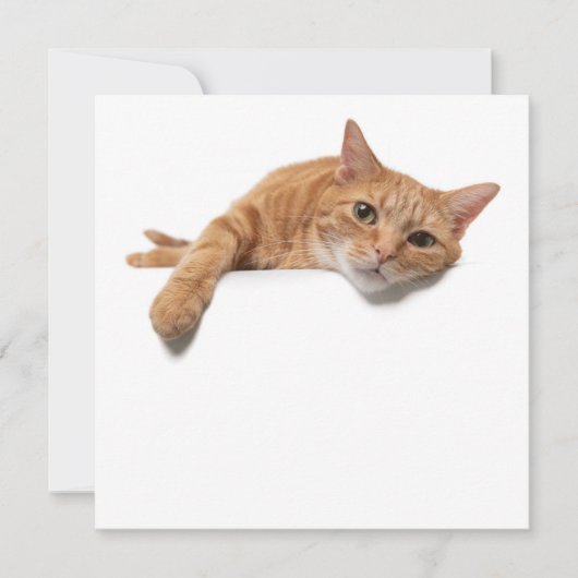 Faire-part Chat Orange Posé En Bas (Devant)