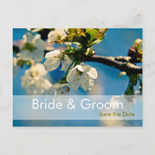 Faire-part Cherry Blossom ・ Enregistrer la carte postale Date
