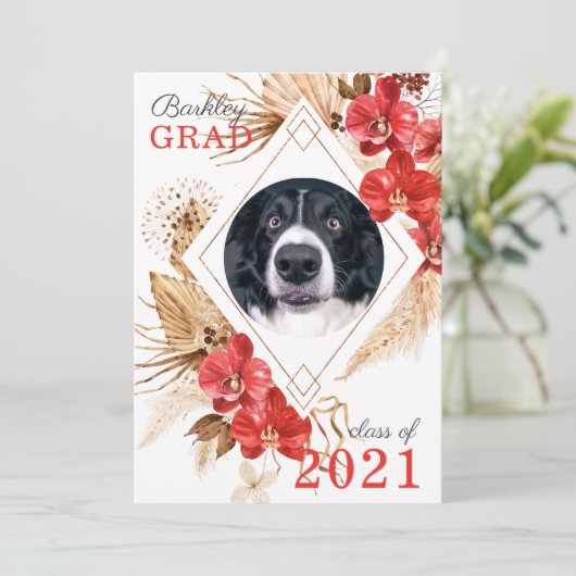 Faire-part Classe d'obéissance au chien (Debout devant)