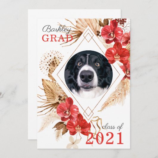 Faire-part Classe d'obéissance au chien (Devant / Derrière)