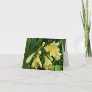 Faire-part Clivias jaune citron
