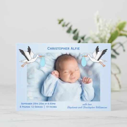 Faire-part Conception de cigogne bébé garçon naissance (Debout devant)