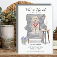 Cute Cockapoo Chien que nous avons déplacé Faire-p