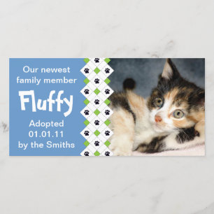 Faire-part d'adoption Chat/Kitten