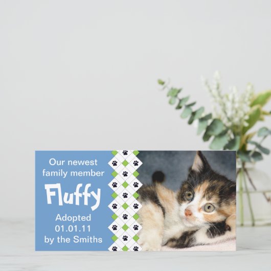 Faire-part d'adoption Chat/Kitten (Debout devant)