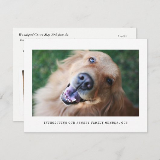 Faire-part d'adoption simple de l'animal de compag (Devant / Derrière)