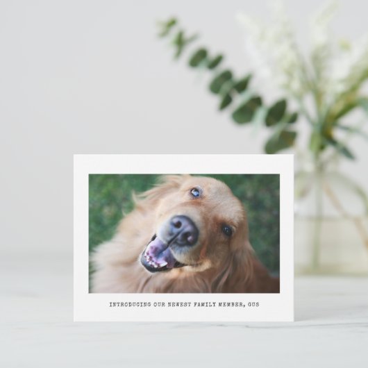 Faire-part d'adoption simple de l'animal de compag (Debout devant)