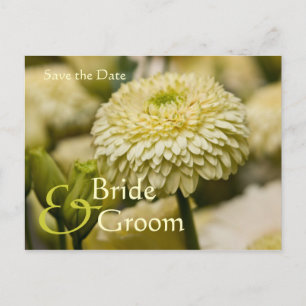 Faire-part Dahlia • Carte postale pour sauvegarder la date