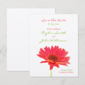 Faire-part d'annonce de gerbera daisy (Devant / Derrière)