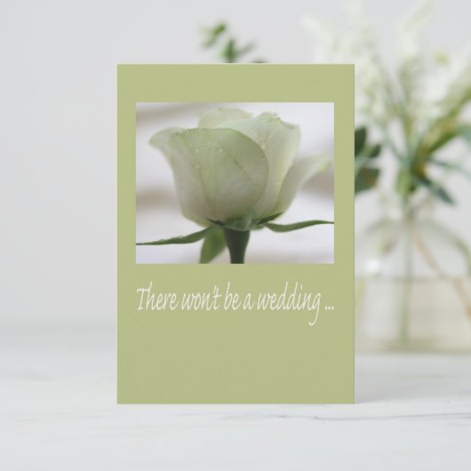 faire-part d'annulation du mariage (Debout devant)