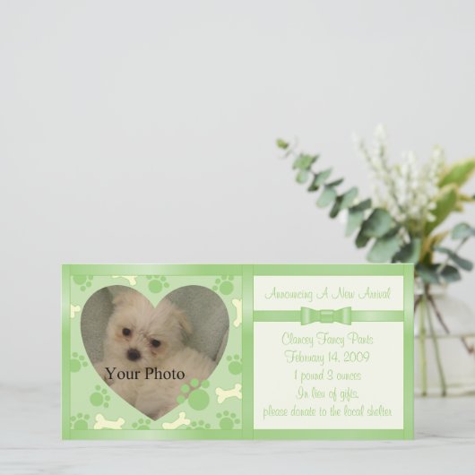 Faire-part de chiot (Debout devant)