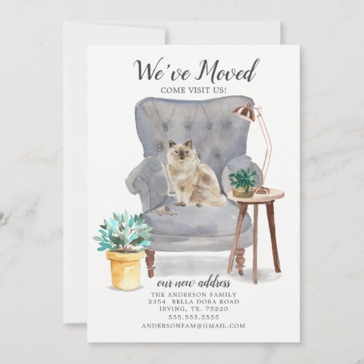 Faire-part de déplacement de chats Ragdoll (Devant)