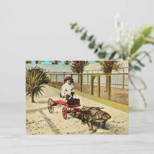 Faire-part de déplacement habile Floride Alligator (Debout devant)