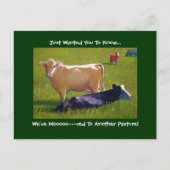 FAIRE-PART DE DÉPLACEMENT : Vaches à maturité : Pe (Devant)