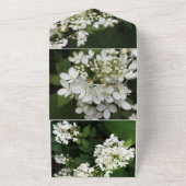 Faire-part de mariage (Dehors)