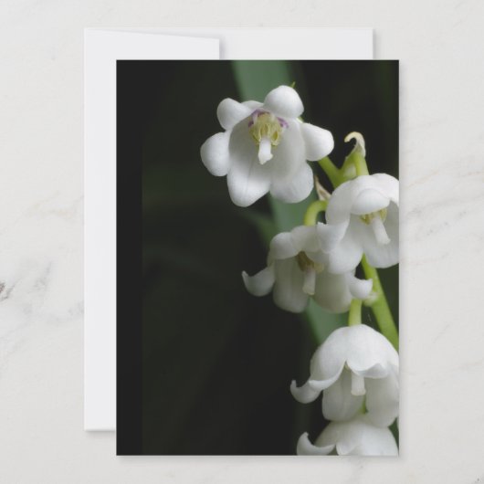 Faire-part de mariage (Dos)