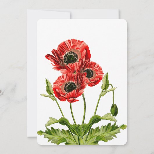 Faire-part de mariage à fleurs rouge (Dos)