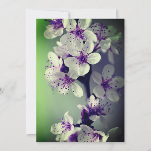 Faire-part de mariage à fleurs violettes (Dos)