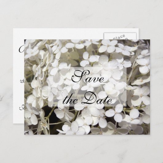 Faire-part de mariage à l'hydrangea blanc (Devant / Derrière)