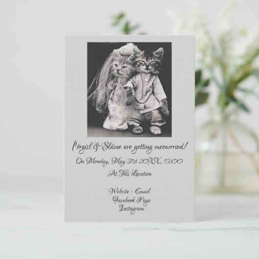 Faire-part de mariage à thème chat le plus mignon  (Debout devant)
