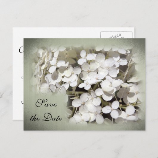 Faire-part de mariage à venir Hydrangea Blanc (Devant / Derrière)