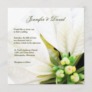 Faire-part de mariage blanc de poinsettia