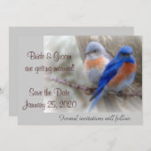 Faire-part de mariage Bluebird (Devant / Derrière)