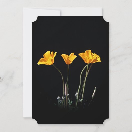 Faire-part de mariage California Poppies (Dos)