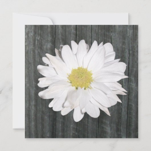 Faire-part de mariage Daisy et Barnwood (Dos)