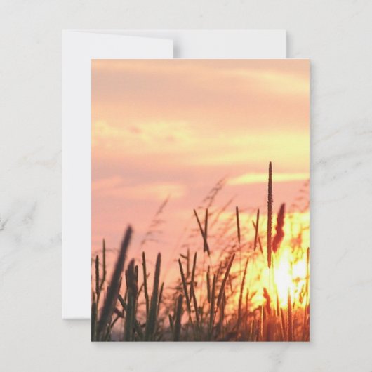 Faire-part de mariage de champ Sunset (Dos)