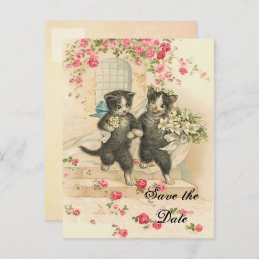 Faire-part de mariage de chatons victoriens (Devant / Derrière)