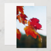 Faire-part de mariage de feuillage d'automne (Devant / Derrière)