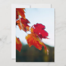 Faire-part de mariage de feuillage d'automne