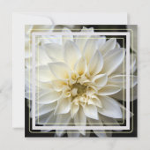 faire-part de mariage de fleur de dahlia blanche (Dos)
